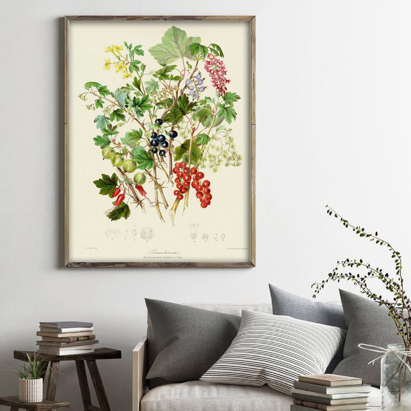 Kolekcja botaniczna: stare pla – Vintage Collectible Posters recenzja i cena