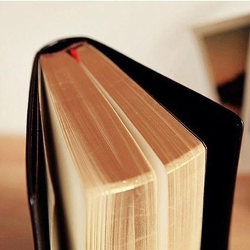 Vintage gruby skórzany notatni – Vintage Collectible Books recenzja i cena